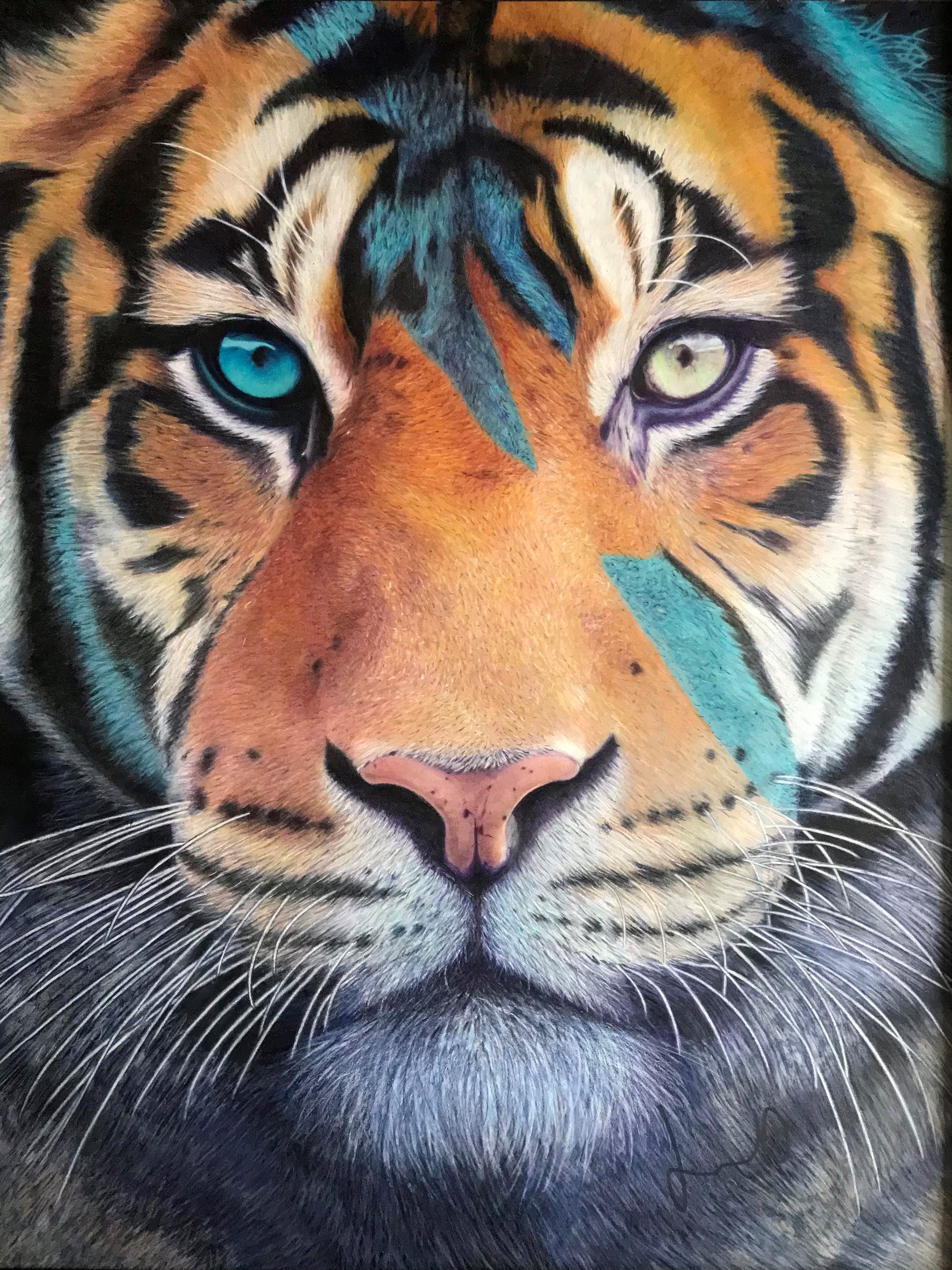 Dessin de tigre par Jerome Berranger